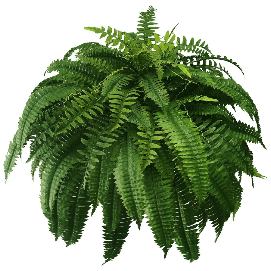 đ„Last Day 75% OFFđ„--UV Resistant Lifelike Artificial Boston Fern