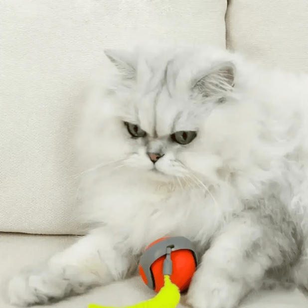 ð¥Interactive Electric Rolling Ball with Teasing Tail