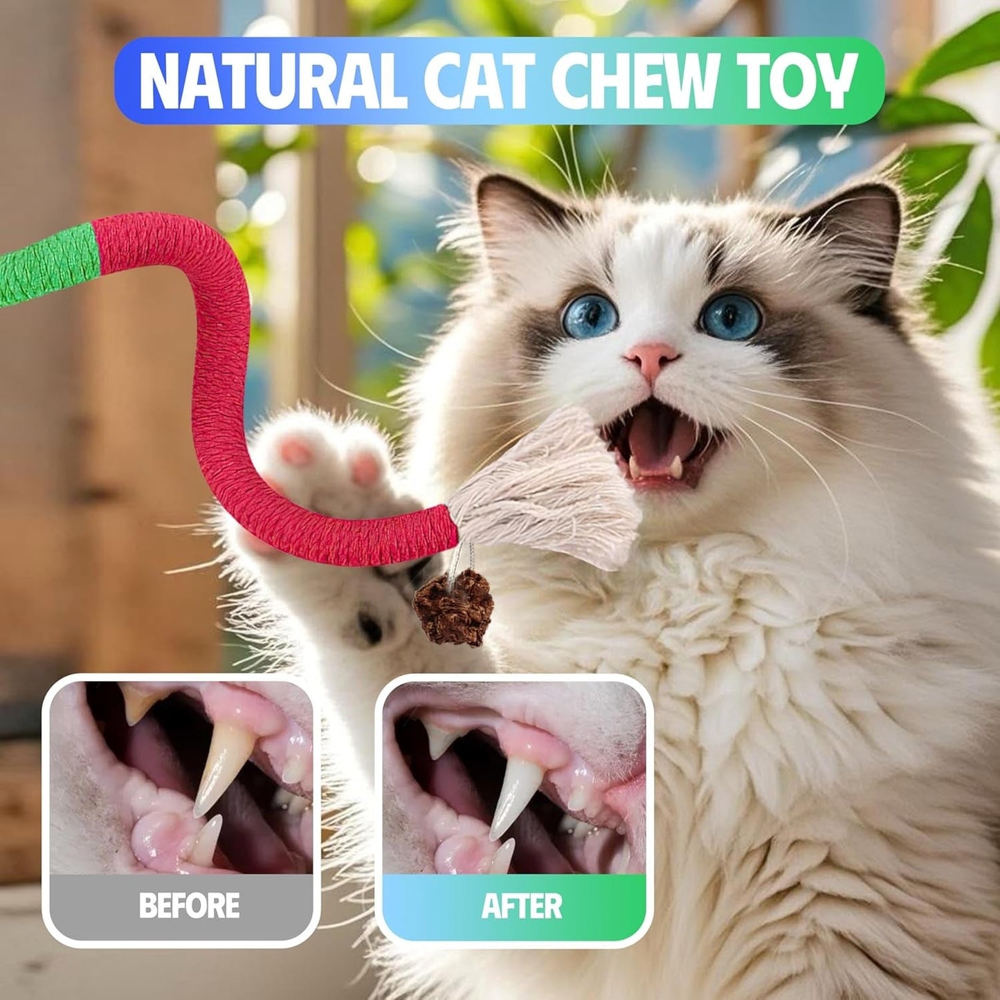 Mresio®🔥😻 Cat Toys Chew Rope & Silvervine Sticks for Bored Indoor Adult Cats